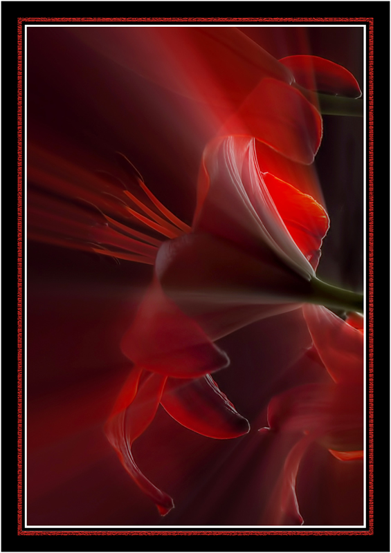 Flower Magic by Marlene